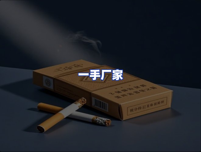 专业团队